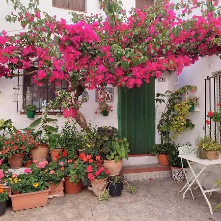 La Buganvilla De Juana Y Antonio Casares Exterior photo